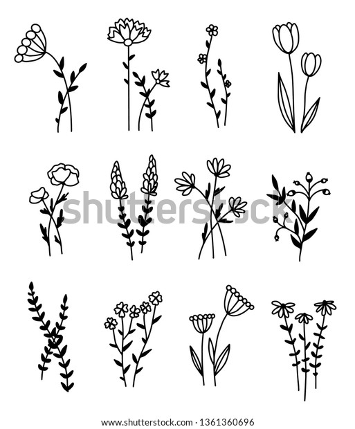 Set Hand Drawn Minimalistic Outlines Wildflowers Stock Vector (Royalty