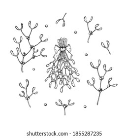 Rama de mistletoe dibujada a mano con bayas aisladas sobre fondo blanco. elemento de diseño de Navidad. Ilustración vectorial en estilo de esbozo.