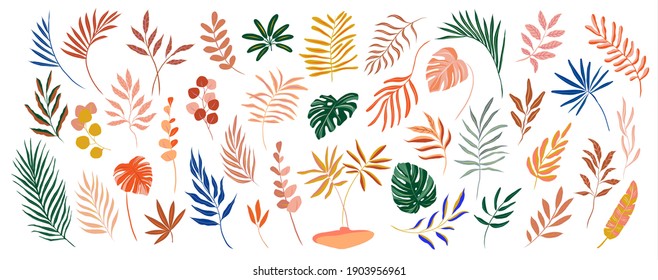 set of hand drawn modern tropical exotic leaves and branches illustration isolated on white background