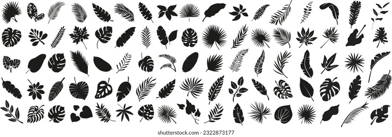 set of hand drawn modern tropical exotic leaves and branches silhouette isolated on transparent background. Vector illustration