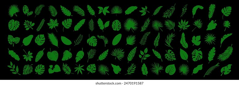 Conjunto de hojas exóticas tropicales modernas dibujadas a mano y ramas silueta aislada sobre fondo transparente