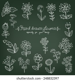 Set of hand drawn monochrome doodle flowers - daisy, bells, daisy, dandelion, chamomile, umbrella on chalk board