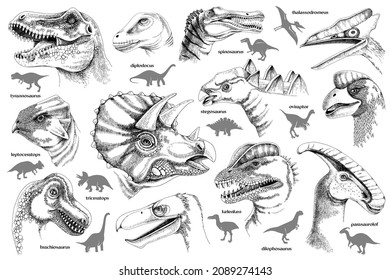 Set von handgezeichnet monochromen realistischen Dinosauriern.