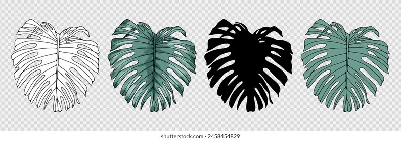 Set of hand drawn monstera leaves of different colors isolated on a transparent background. Monstera outline, shadow from monstera leaves, silhouette.