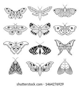 Set of hand drawn moths and butterflies in doodle style on white background.