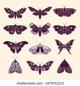 Set of hand drawn moths and butterflies in doodle style