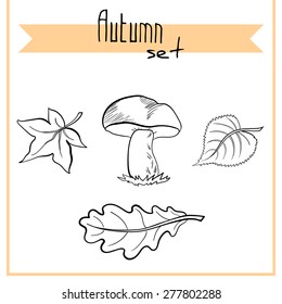 Set of hand drawn mushroom and leafs. Vector illustration