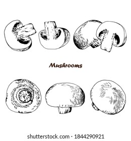 Set of hand drawn mushrooms. Black and white vector illustration.