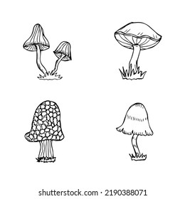 set of hand drawn mushrooms, black and white vector
