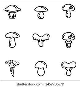 Set of hand drawn mushrooms.Vector illustrations.