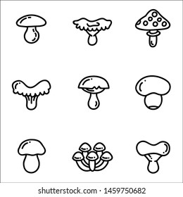 Set of hand drawn mushrooms.Vector illustrations.