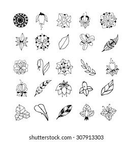 Set of hand drawn mystical plants. Doodle plants for summer or spring cards, invitations, flyers, banners or posters design. Tribal decorative plants and flowers collection. Vector design elements.