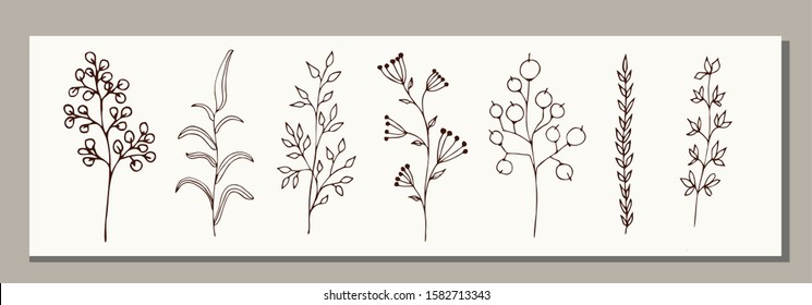 Set of hand drawn natural plants isolated on white background. Perfect for invitations, cards, quotes, logo, icons, blogs, wedding frames, posters, medical packaging and a box of tea.