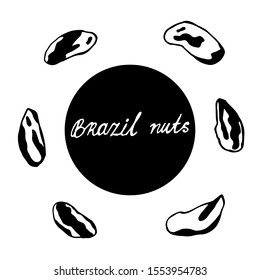 Set of hand drawn nuts. Black outline of a Brazil nut on an isolated white background. Collection