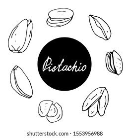 Set of hand drawn nuts. Black outline pistachio isolated white background. Collection