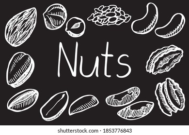 Set of hand drawn nuts. Illustration in sketch style. Vector illustration isolated on black background.