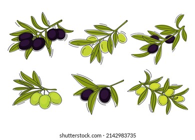 Ramas de oliva dibujadas a mano aisladas en un fondo blanco. Ilustración vectorial.