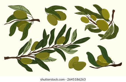 set of hand drawn olive branches with green leaves and fruit on a light isolated background. Great for food labels, packaging, and Mediterranean designs