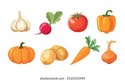 Conjunto de cebola puxada à mão, alho, rabanete, tomate, pimenta, abóbora, batata e cenoura. Ilustração vetorial plana detalhada de diferentes vegetais de colheita.