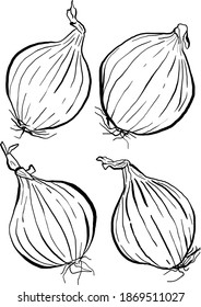 Set of Hand drawn Onions, Vector Illustrations in black and white