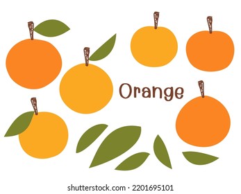 Set of hand drawn orange with green leaves isolated on white background vector illustration. 