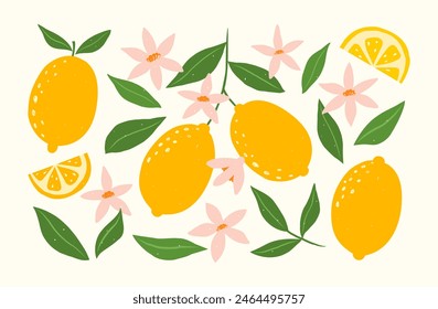 Set of hand drawn oranges fruits with leaves, branches and flowers. Vector modern botanical illustration. Set of citrus tropical fruits. Summer design for pattern, poster, card, fabric, banner, cover.