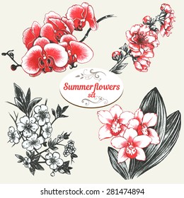 Set of hand drawn orchids flowers 