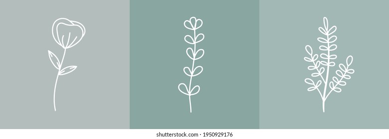 Set of Hand Drawn Organic grass Leaves and flowers, Art floral elements, Botanical illustration, Decorative Leaf picture, Vector Illustration for graphic design, t-shirt prints, logos, cosmetics