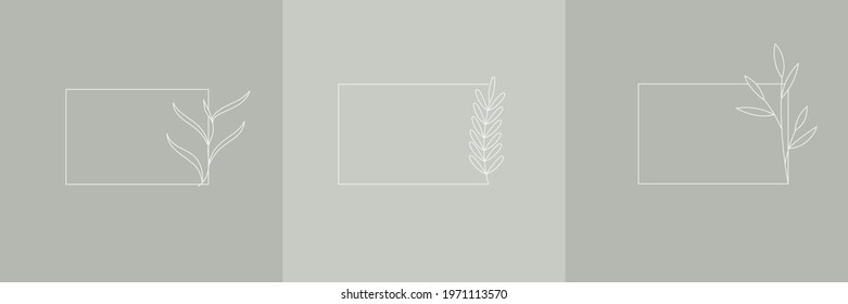 Set Hand Drawn Organic grass, Leaves and flower with square frame, Floral elements, Botanical illustration, Decorative Leaf, Vector Illustration for graphic design, wedding, invitation, logo, cosmetic
