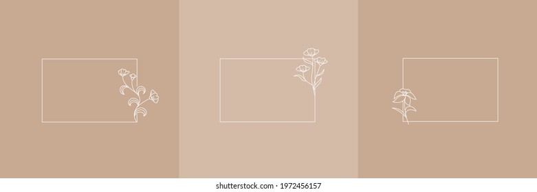 Set Hand Drawn Organic grass, Leaves and flower with square frame, Floral elements, Botanical illustration, Decorative Leaf, Vector Illustration for graphic design, wedding, invitation, logo, cosmetic