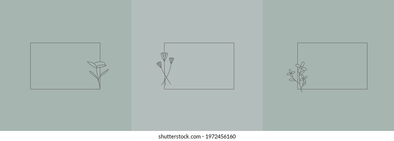 Set Hand Drawn Organic grass, Leaves and flower with square frame, Floral elements, Botanical illustration, Decorative Leaf, Vector Illustration for graphic design, wedding, invitation, logo, cosmetic