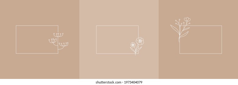 Set Hand Drawn Organic grass, Leaves and flower with square frame, Floral elements, Botanical illustration, Decorative Leaf, Vector Illustration for graphic design, wedding, invitation, logo, cosmetic
