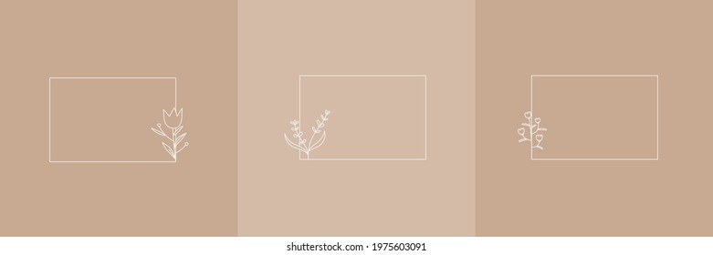 Set Hand Drawn Organic grass, Leaves and flower with square frame, Floral elements, Botanical illustration, Decorative Leaf, Vector Illustration for graphic design, wedding, invitation, logo, cosmetic