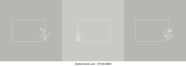 Set Hand Drawn Organic grass, Leaves and flower with square frame, Floral elements, Botanical illustration, Decorative Leaf, Vector Illustration for graphic design, wedding, invitation, logo, cosmetic