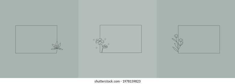 Set Hand Drawn Organic grass, Leaves and flower with square frame, Floral elements, Botanical illustration, Decorative Leaf, Vector Illustration for graphic design, wedding, invitation, logo, cosmetic