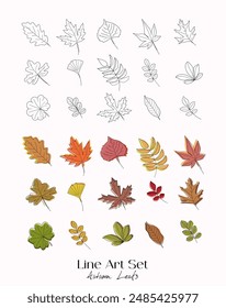 Conjunto de dibujado a mano contorno de las hojas de otoño garabatos. Elementos de Vector negro y color sobre fondo blanco. Diferentes tipos de hojas. Técnica de esbozo. Perfecto para colorear páginas, pegatinas. Arte de línea simple