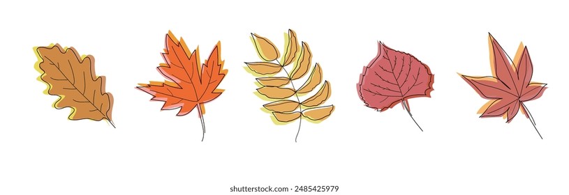 Conjunto de dibujado a mano contorno de las hojas de otoño garabatos. Elementos de Vector de color sobre fondo blanco. Diferentes tipos de hojas. Técnica de esbozo. Perfecto para colorear páginas, pegatinas. Arte de línea simple