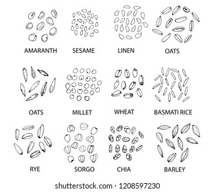 Set of hand drawn outline cereal grains isolated on white. Amaranth, sesame, linen, oats, millet, wheat, rye, sorgo, chia, barley, rice. Stylized vector illustration.