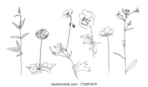 Handgezeichneter Blumenrahmen mit Blättern. Skizze oder doodle-artige Vektorgrafik, die von Liner gemalt wird. Schwarzes Bild auf weißem Hintergrund.