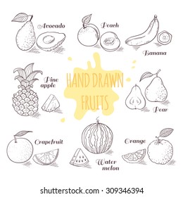 Set of hand drawn outline fruits with slice in vector. Doodle illustration