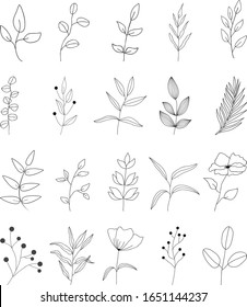 Set hand drawn outline leaves. Black line doodle floral for invitations, greeting cards, banners.
