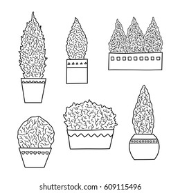 Set of hand drawn outline miniature growing coniferous trees in pots isolated on white background.