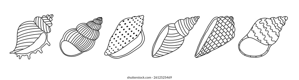 Set of hand drawn outline seashells. Editable stroke. Design elements for print, sticker, greeting card and invitation. Isolated vector illustration