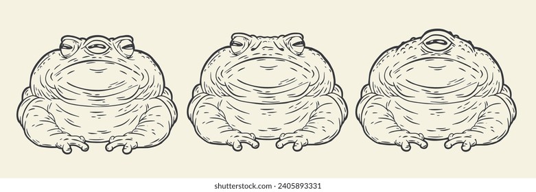 Set hand drawn outline silhouettes toads with one, two and three eyes isolated on white background. Cartoon vector illustration.