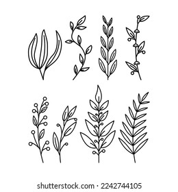 Set of hand drawn outline tropical leaves plants doodle illustration, decorative exotic leaves element.