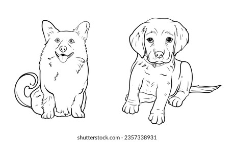 set of hand drawn Outlined animal dog head. Vector illustration beagle dog is a simple vector sketch illustration