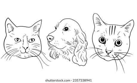 set of hand drawn Outlined animal dog head. Vector illustration beagle dog is a simple vector sketch illustration