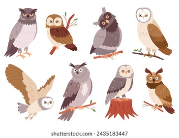 Set of hand drawn owls.Wild forest birds. Flying creatures. Elements for ornithology book. Flat design.