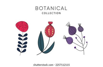 Un conjunto de elementos de diseño bótico pintados a mano. Vector Eps10