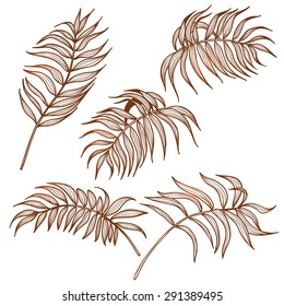 Set of hand drawn palm leaves isolated on white. Tattoo design.